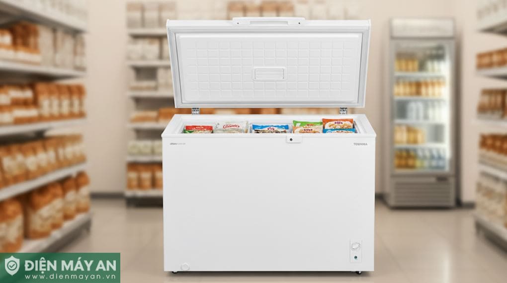 Tủ đông Toshiba Inverter 293 lít GR-RC390CM-PMV(01)