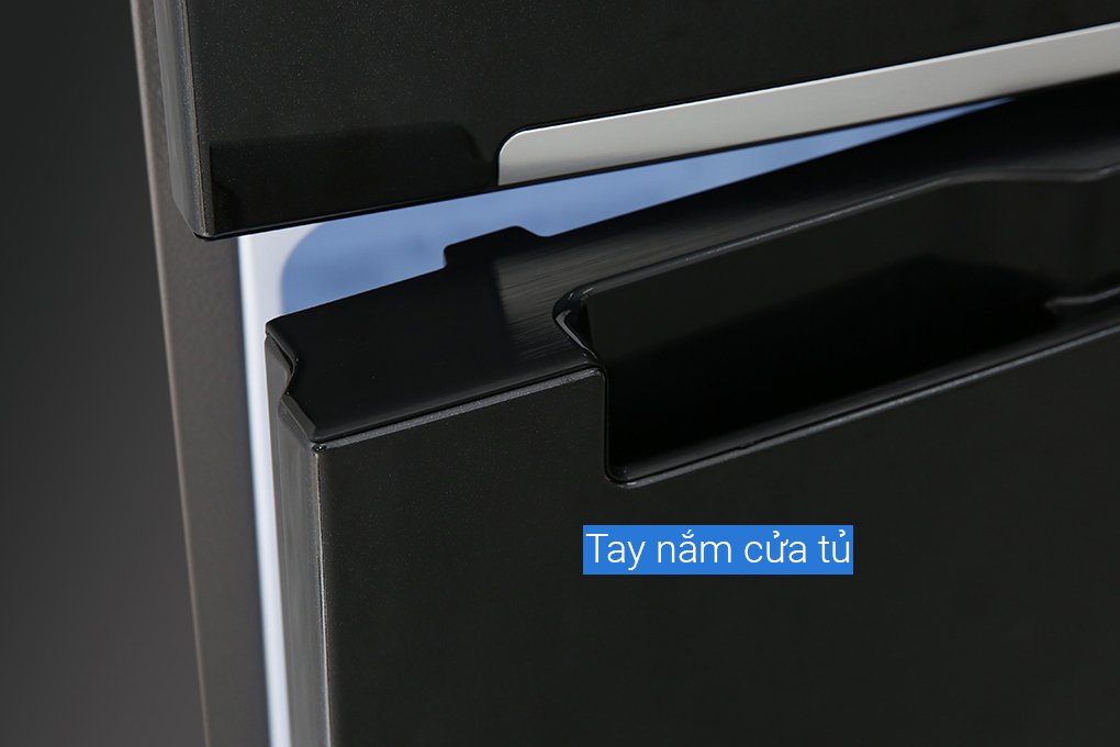 Tủ Lạnh Samsung Inverter 208 Lít RT20HAR8DBU/SV