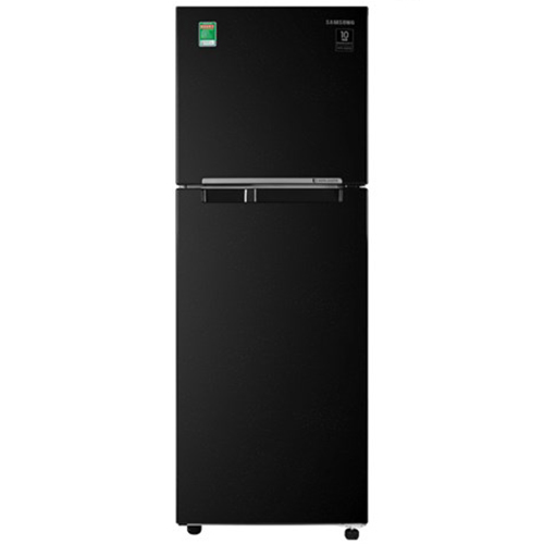 Tủ Lạnh Samsung Inverter 236 Lít RT22M4032BU/SV