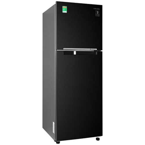 Tủ Lạnh Samsung Inverter 236 Lít RT22M4032BU/SV