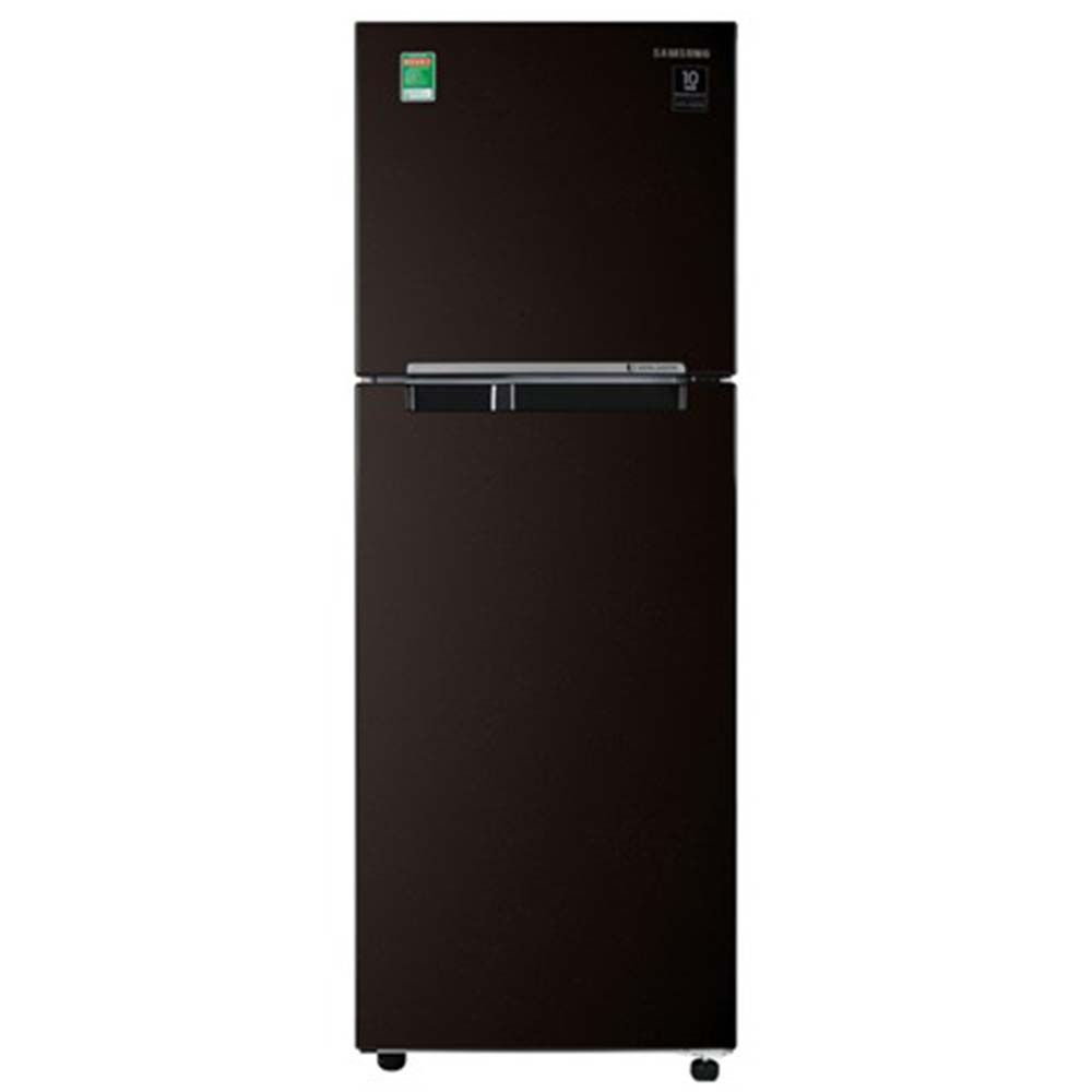 Tủ Lạnh Samsung Inverter 236 Lít RT22M4032BY/SV