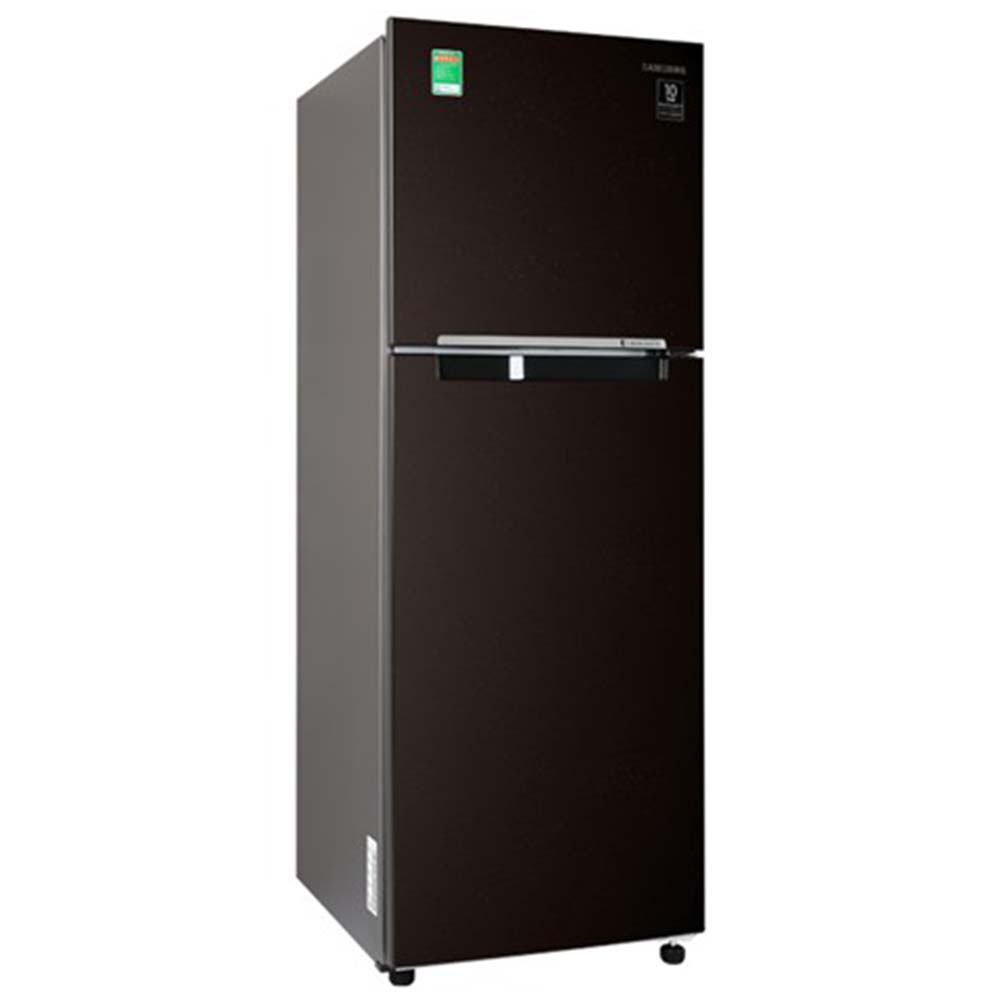 Tủ Lạnh Samsung Inverter 236 Lít RT22M4032BY/SV