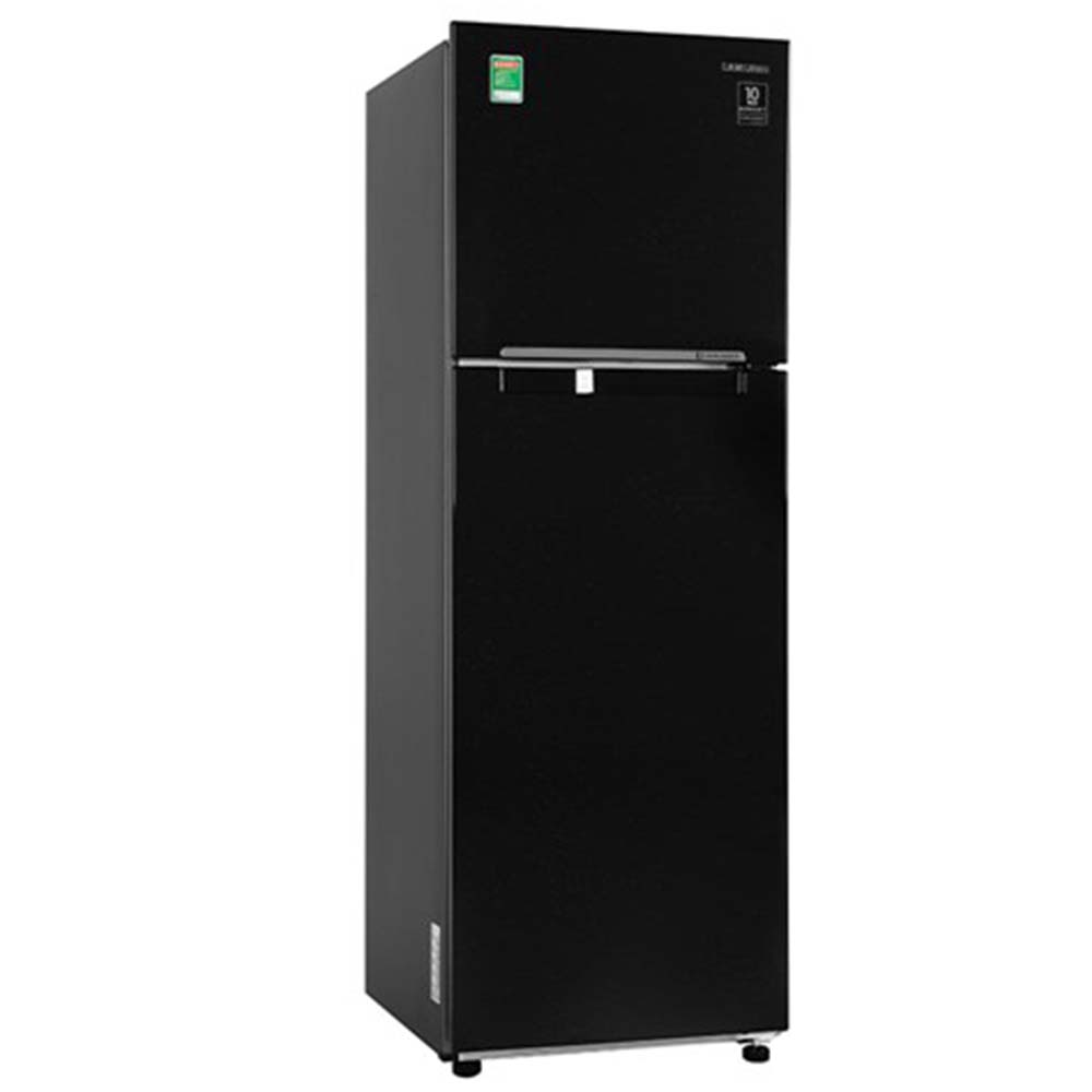 Tủ Lạnh Samsung Inverter 256 Lít RT25M4032BU/SV
