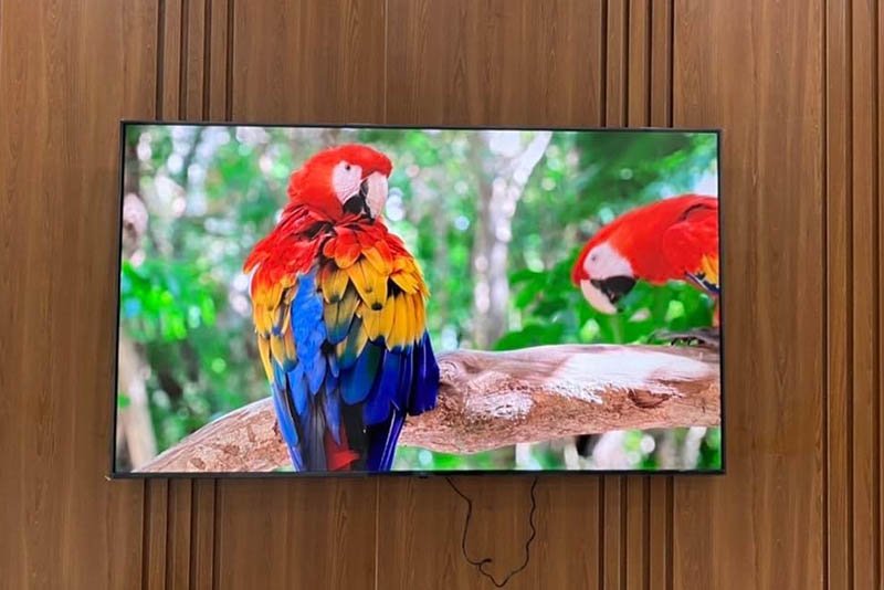 Khách hàng Điện máy AN
