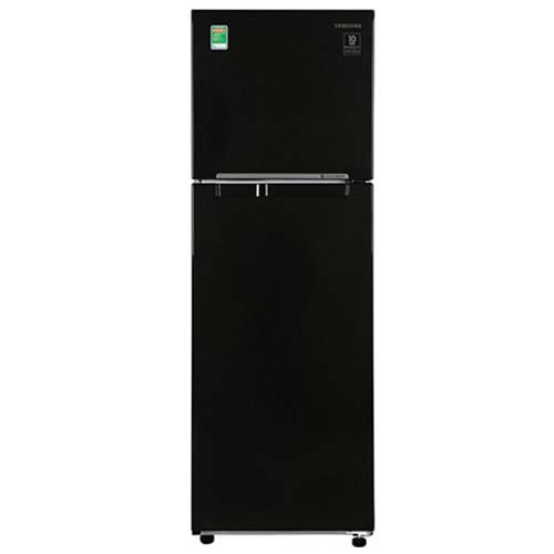 Tủ lạnh Samsung Inverter 256 lít RT25M4032BU/SV