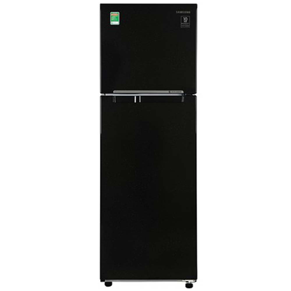 Tủ lạnh Samsung Inverter 256 lít RT25M4032BU/SV